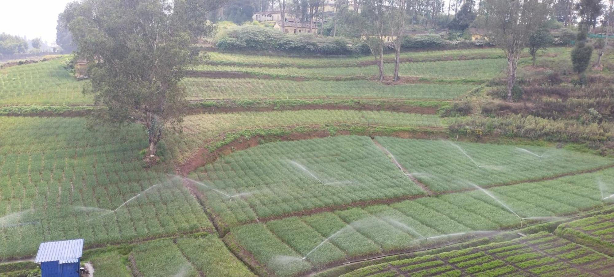 J J Homes Ooty Luaran gambar